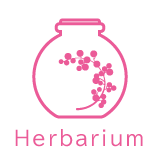Herbarium